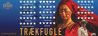 traekfugle_fb-cover_05.jpg