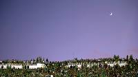 ultras_02.jpg