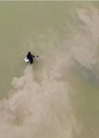 Ilden, Vandet, Jorden, Luften